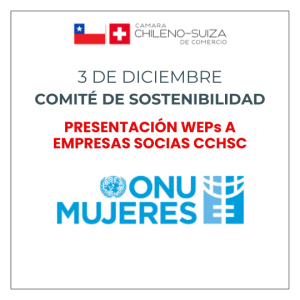 Presentación WEPs a Empresas Socias por ONU Mujeres @ Zoom